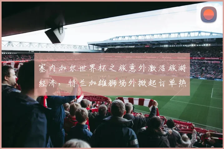 塞内加尔世界杯之旅意外激活旅游经济，特兰加雄狮场外掀起订单热潮