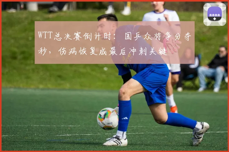 WTT总决赛倒计时：国乒众将争分夺秒，伤病恢复成最后冲刺关键
