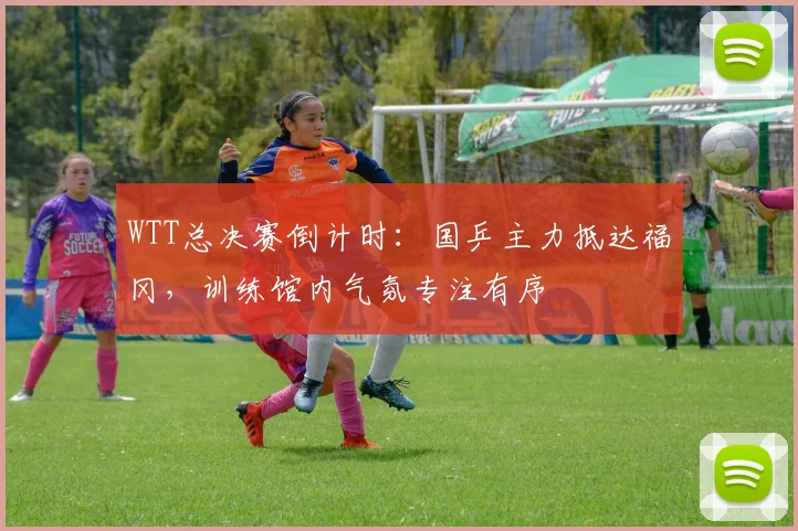 WTT总决赛倒计时：国乒主力抵达福冈，训练馆内气氛专注有序