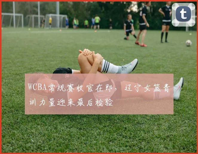 WCBA常规赛收官在即，辽宁女篮青训力量迎来最后检验