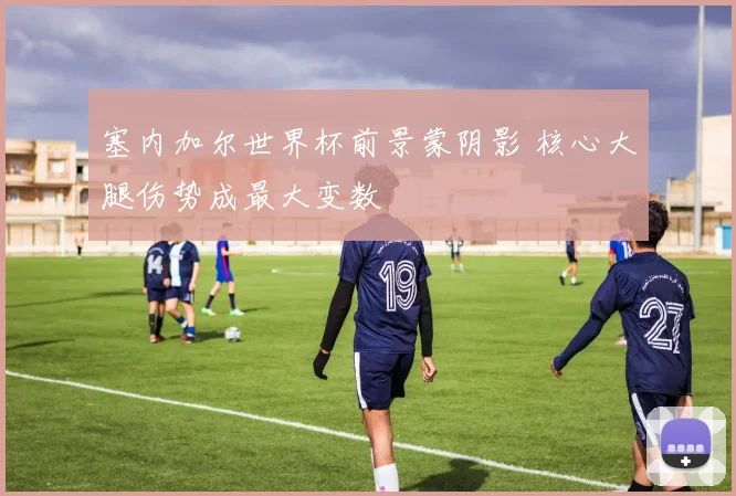 塞内加尔世界杯前景蒙阴影 核心大腿伤势成最大变数